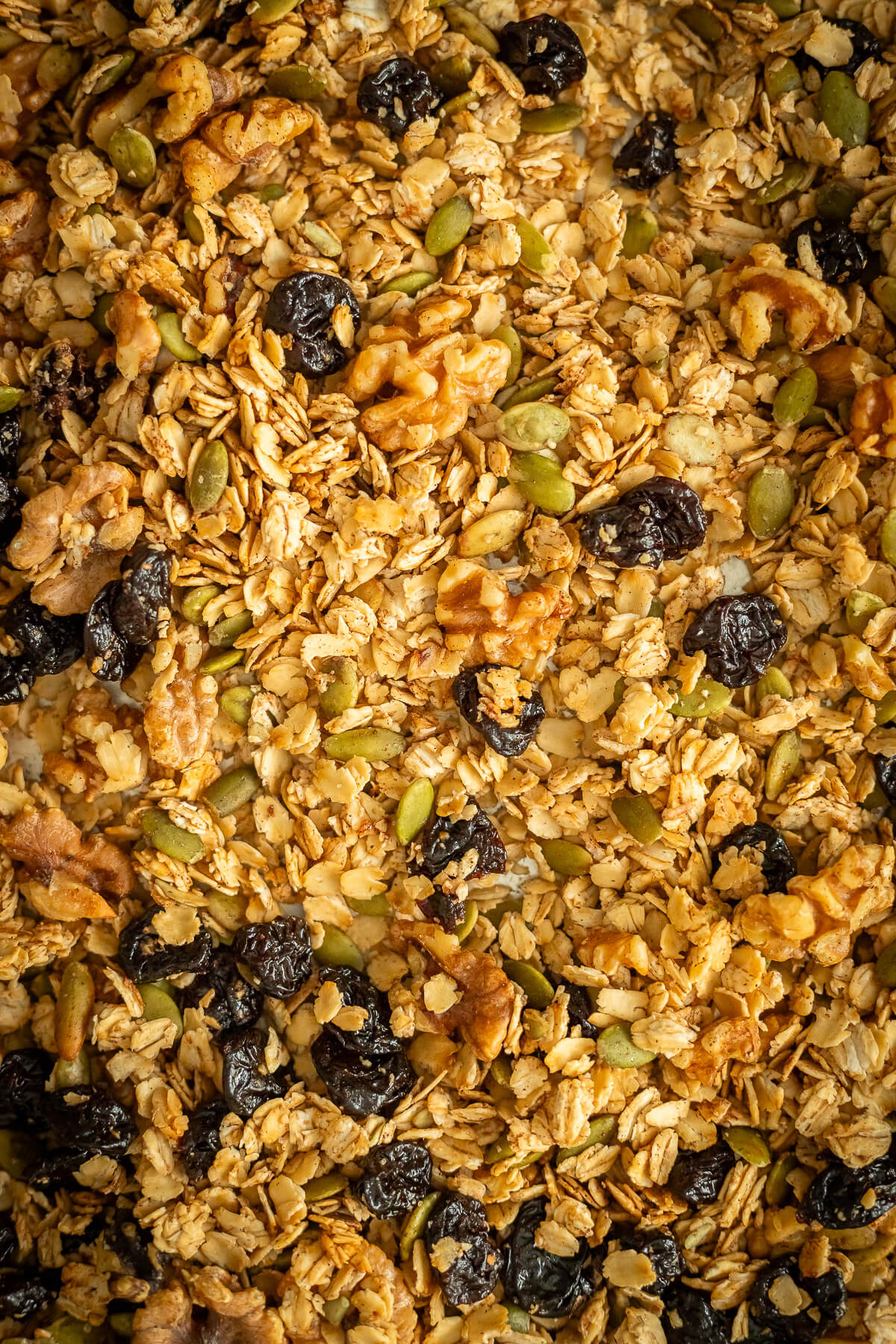 close up view of cherry walnut granola