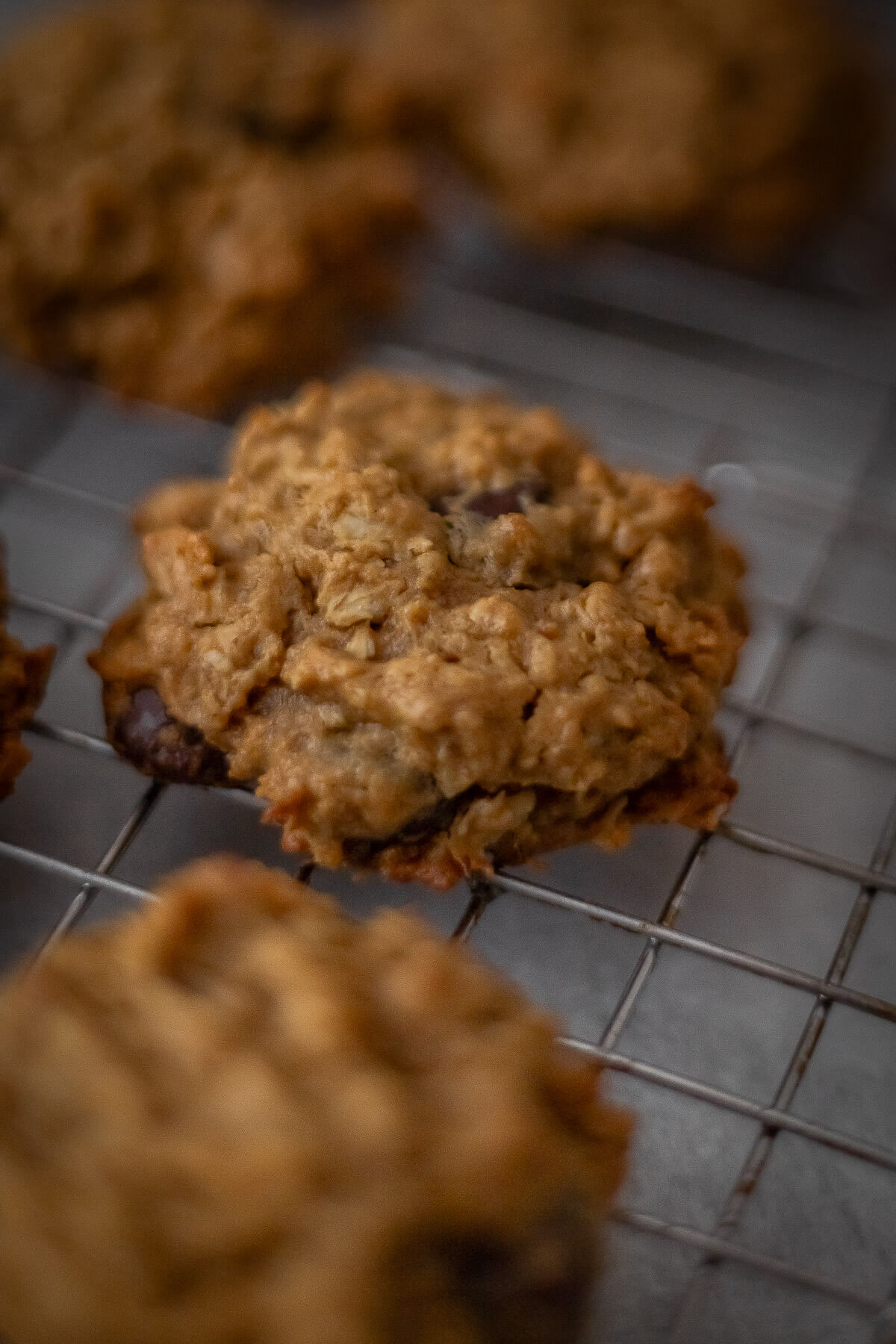 gluten free oatmeal peanut butter cookies