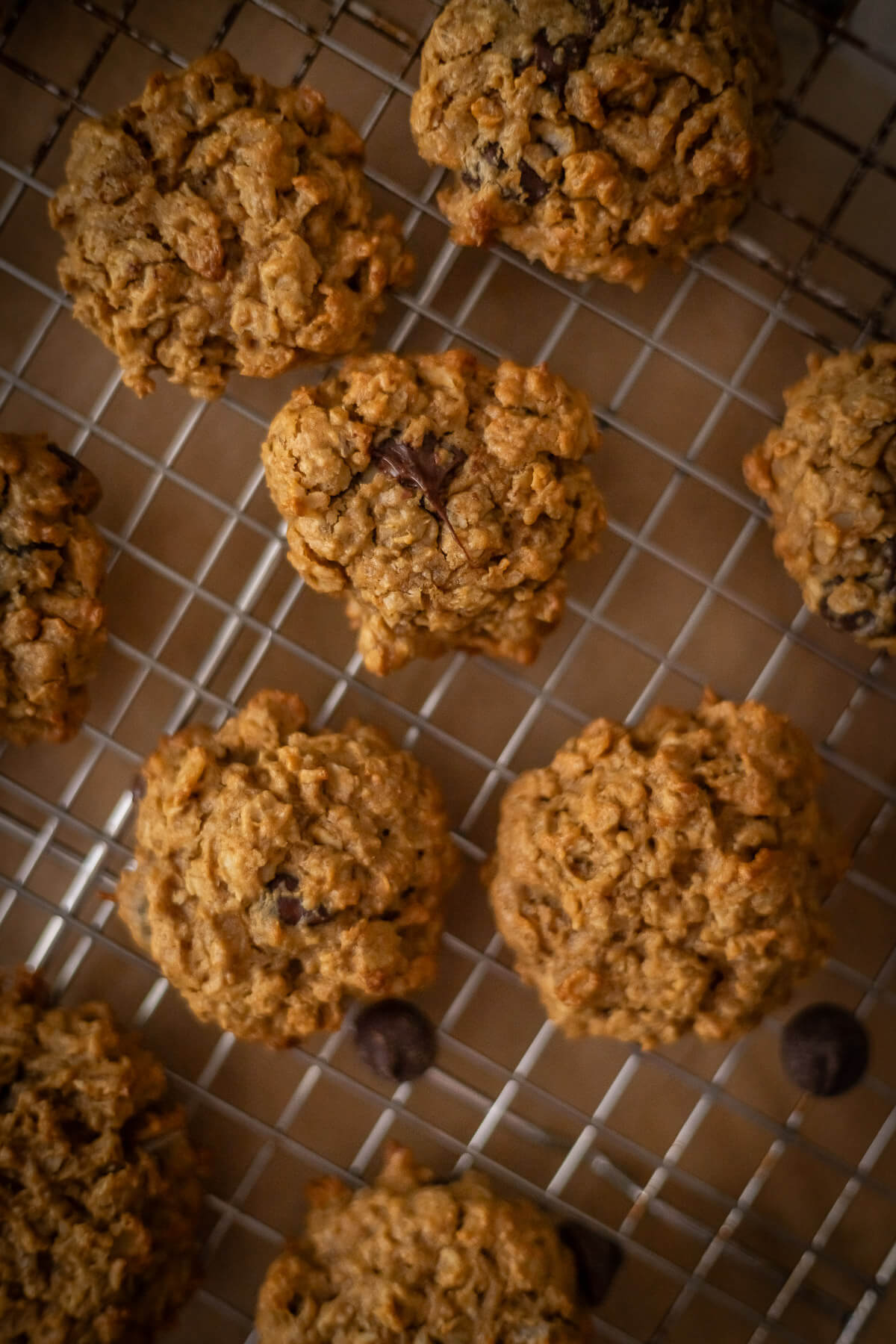gluten free oatmeal peanut butter cookies